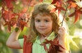 Kids play in autumn park. Children portrait with yellow leaves. Child boy with oak and maple leaf outdoor. Fall foliage Royalty Free Stock Photo