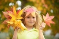 Kids play in autumn park. Children throwing yellow leaves. Child boy with oak and maple leaf outdoor. Fall foliage Royalty Free Stock Photo