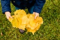 Kids play in autumn park. Children throwing yellow and red leaves. Little girl with leaf. Fall foliage. Family outdoor Royalty Free Stock Photo