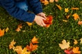 Kids play in autumn park. Children throwing yellow and red leaves. Little child in blue coat with maple leaves. Fall Royalty Free Stock Photo