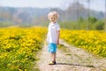 Kids play. Child in dandelion field. Summer flower Royalty Free Stock Photo