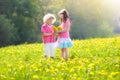 Kids play. Child in dandelion field. Summer flower Royalty Free Stock Photo