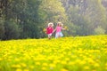 Kids play. Child in dandelion field. Summer flower Royalty Free Stock Photo