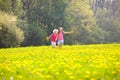 Kids play. Child in dandelion field. Summer flower Royalty Free Stock Photo