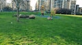 kids play ground in park, big rock in park