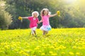 Kids play. Child in dandelion field. Summer flower