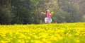 Kids play. Child in dandelion field. Summer flower Royalty Free Stock Photo