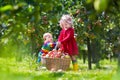 Kids playing in apple tree garden Royalty Free Stock Photo