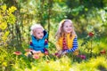 Kids playing in autumn forest