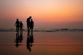 silhouette Kids playing in beach during sunset and reflection in water