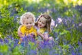 Kids playing in blooming garden with bluebell flowers Royalty Free Stock Photo