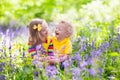 Kids playing in blooming garden with bluebell flowers