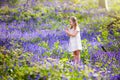 Kids playing in bluebell woods Royalty Free Stock Photo