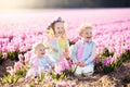 Kids playing in flower field Royalty Free Stock Photo