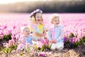 Kids playing in flower field Royalty Free Stock Photo