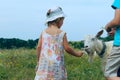 Kids playing with goat, horizontal view, cropped shot. Animals, children concept.