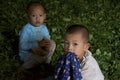 Kids playing in the village in the tea leaves Royalty Free Stock Photo