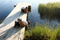 Kids playing on wooden bridge by lake Royalty Free Stock Photo