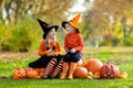 Kids with pumpkins in Halloween costumes