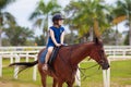 Kids ride horse. Child on pony. Horseback riding