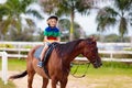 Kids ride horse. Child on pony. Horseback riding Royalty Free Stock Photo