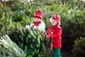 Kids select Christmas tree. Family buying Xmas tree. Royalty Free Stock Photo