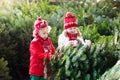 Kids select Christmas tree. Family buying Xmas tree. Royalty Free Stock Photo