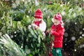 Kids select Christmas tree. Family buying Xmas tree.