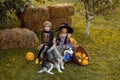 Kids smiling on a Halloween party. Halloween children enjoying in the autumn park on field. Surprised group little