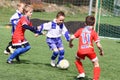 Kids soccer match Royalty Free Stock Photo