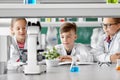 Kids or students with plant at biology class Royalty Free Stock Photo