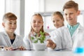 Kids or students with plant at biology class Royalty Free Stock Photo