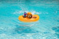 Kids summer relax. Kid boy in swim pool swimming on inflatable ring. Kid swim with orange float. Water toy, healthy Royalty Free Stock Photo