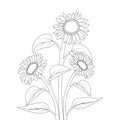 kids sunflower coloring page pencil drawing of vector design with pencil sketch