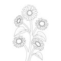 kids sunflower coloring page pencil drawing of vector design with pencil sketch