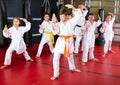 Kids at taekwondo workout, training attack movements