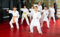 Kids at taekwondo workout, training attack movements