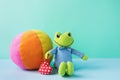 Kids Toys Small Plush Frog Holding Red Heart Multicolored Textile Soft Ball on Blue Green Background. Banner Placeholder Charity Royalty Free Stock Photo