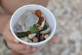 Kids treasure from sea - sea shells, stones and flooded glass