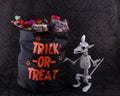 Kids trick-or-treat bag full of candy with a rat skeleton on black cobweb background Royalty Free Stock Photo