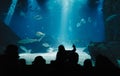 Kids During Underwater Life Class in Oceanarium. Children Watching Fish. Teacher Showing Sharks, Rays, Sunfish, Mantas