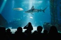 Kids During Underwater Life Class in Oceanarium. Children Watching Fish. Teacher Showing Sharks