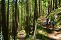 Kids walking in mountain Royalty Free Stock Photo