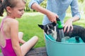 Kids wash boston terrier puppy in blue basin in summer garden