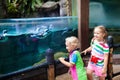 Kids watch penguin at zoo. Child at safari park