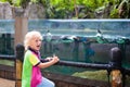 Kids watch penguin at zoo. Child at safari park
