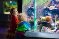 Kids watching fish in tropical aquarium Royalty Free Stock Photo