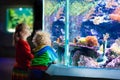 Kids watching fish in tropical aquarium Royalty Free Stock Photo