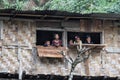 Kids watching from the hut window