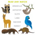 Kids words learning game worksheet read and match. Funny animals Armadillo Anteater Sloth Lama Raccoon Parrot Educational Game for Royalty Free Stock Photo